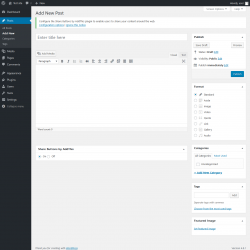 Page screenshot: Add New Post ‹ Test site — WordPress