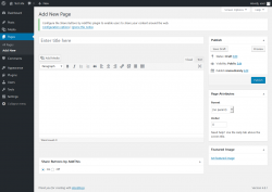 Page screenshot: Add New Page ‹ Test site — WordPress