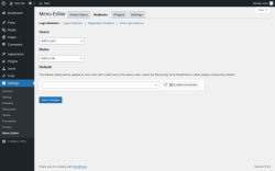 Page screenshot: Settings &rarr; Menu Editor &rarr; Redirects