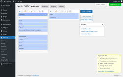 Page screenshot: Settings &rarr; Menu Editor