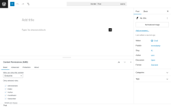 Page screenshot: Add Post ‹ Test site — WordPress