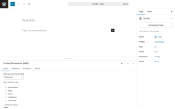 Page screenshot: Add Page ‹ Test site — WordPress
