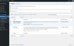 Page screenshot: Plugins &lsaquo; Test site &mdash; WordPress