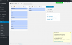 Page screenshot: Settings  &rarr; Menu Editor