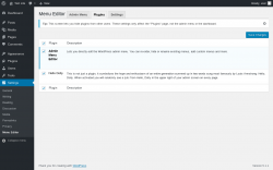 Page screenshot: Settings &rarr; Menu Editor &rarr; Plugins