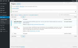 Page screenshot: Plugins &lsaquo; Test site &mdash; WordPress
