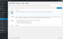 Page screenshot: Settings &rarr; Menu Editor &rarr; Plugins