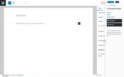 Page screenshot: Add New Page ‹ Test site — WordPress