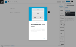 Page screenshot: Add New Post ‹ Test site — WordPress