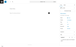 Page screenshot: Add Post ‹ Test site — WordPress