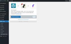 Page screenshot: Admin Quick Panel ‹ Test site — WordPress
