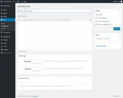 Page screenshot: Ads → Add New Ad