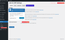 Page screenshot: Ads → Settings