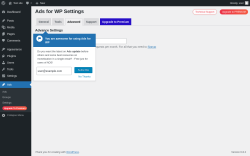 Page screenshot: Ads → Settings →  Advanced