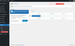 Page screenshot: Ads ‹ Test site — WordPress