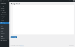 Page screenshot: Settings → Ads.txt