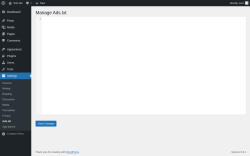 Page screenshot: Settings → Ads.txt