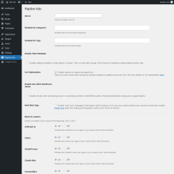 Page screenshot: Raptive Ads