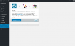 Page screenshot: Advanced Google Analytics for WooCommerce ‹ Test site — WordPress