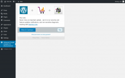 Page screenshot: Advanced Google Analytics for WooCommerce ‹ Test site — WordPress