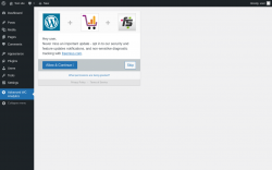 Page screenshot: Advanced WC Analyitcs ‹ Test site — WordPress