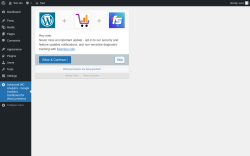 Page screenshot: Advanced WC Analytics - Google Analytics Dashboard for WooCommerce ‹ Test site — WordPress