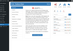Page screenshot: AAM &lsaquo; Test site &mdash; WordPress