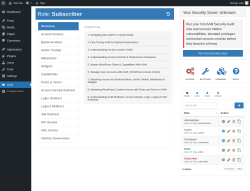 Page screenshot: AAM ‹ Test site — WordPress