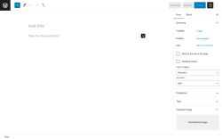 Page screenshot: Add New Post &lsaquo; Test site &mdash; WordPress