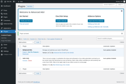 Page screenshot: Plugins &lsaquo; Test site &mdash; WordPress
