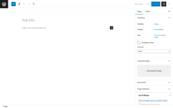 Page screenshot: Add New Page &lsaquo; Test site &mdash; WordPress