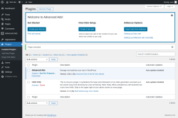 Page screenshot: Plugins &lsaquo; Test site &mdash; WordPress