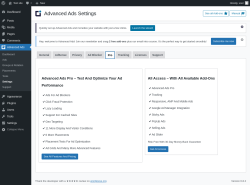 Page screenshot: Advanced Ads → Settings → Pro