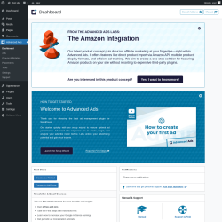 Page screenshot: Advanced Ads