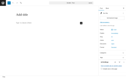 Page screenshot: Add Post ‹ Test site — WordPress