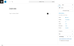 Page screenshot: Add Post ‹ Test site — WordPress