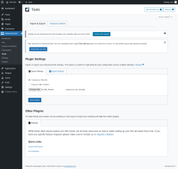 Page screenshot: Advanced Ads → Tools