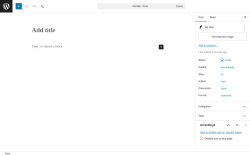 Page screenshot: Add Post &lsaquo; Test site &mdash; WordPress