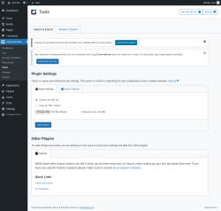 Page screenshot: Advanced Ads &rarr; Tools