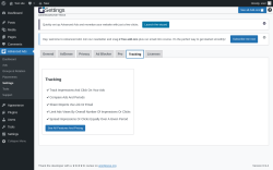Page screenshot: Advanced Ads &rarr; Settings &rarr; Tracking