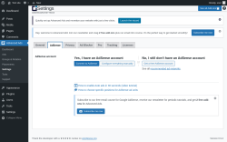 Page screenshot: Advanced Ads &rarr; Settings &rarr; AdSense