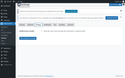 Page screenshot: Advanced Ads &rarr; Settings &rarr; Privacy