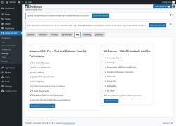 Page screenshot: Advanced Ads &rarr; Settings &rarr; Pro