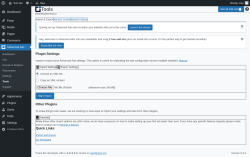Page screenshot: Advanced Ads &rarr; Tools