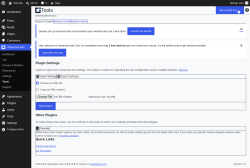 Page screenshot: Advanced Ads &rarr; Tools