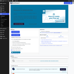 Page screenshot: Advanced Ads
