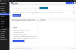 Page screenshot: Advanced Ads &rarr; Settings &rarr; Tracking