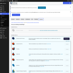 Page screenshot: Advanced Ads &rarr; Settings &rarr; Licenses