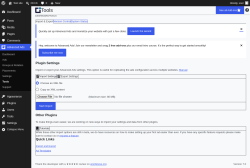 Page screenshot: Advanced Ads &rarr; Tools