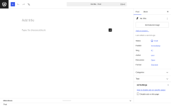 Page screenshot: Add Post &lsaquo; Test site &mdash; WordPress